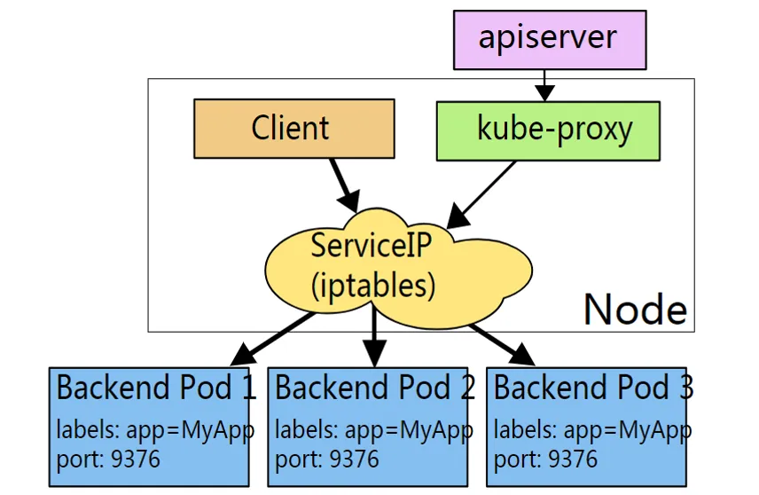 Application purposes of proxy servers